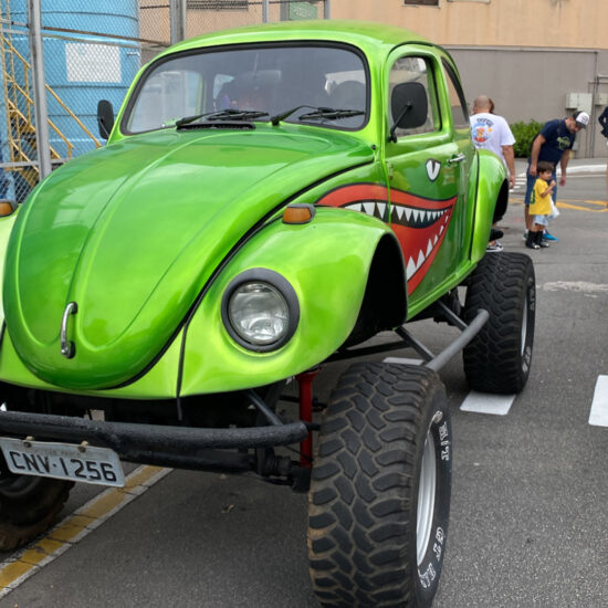 Fusca Verde Expo Center Norte